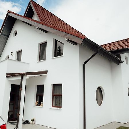 Autentic Adorabil Apartment Albestii Paminteni Екстериор снимка