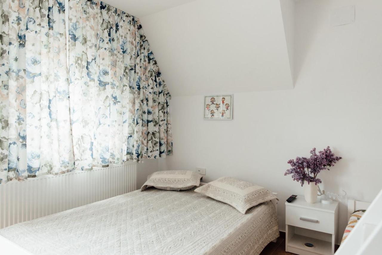 Autentic Adorabil Apartment Albestii Paminteni Екстериор снимка
