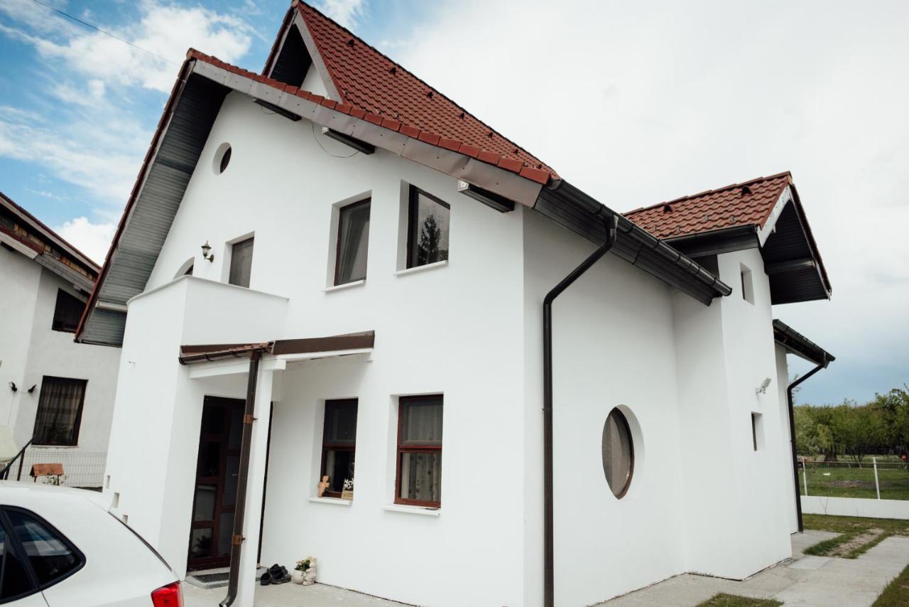 Autentic Adorabil Apartment Albestii Paminteni Екстериор снимка