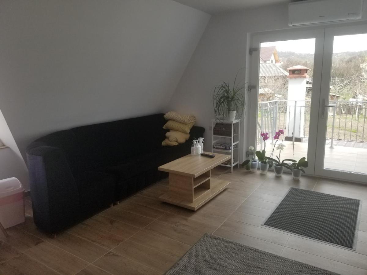 Autentic Adorabil Apartment Albestii Paminteni Екстериор снимка