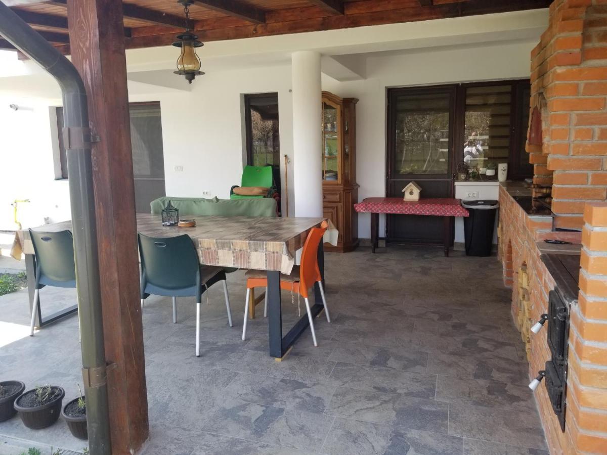 Autentic Adorabil Apartment Albestii Paminteni Екстериор снимка