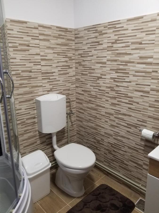 Autentic Adorabil Apartment Albestii Paminteni Екстериор снимка