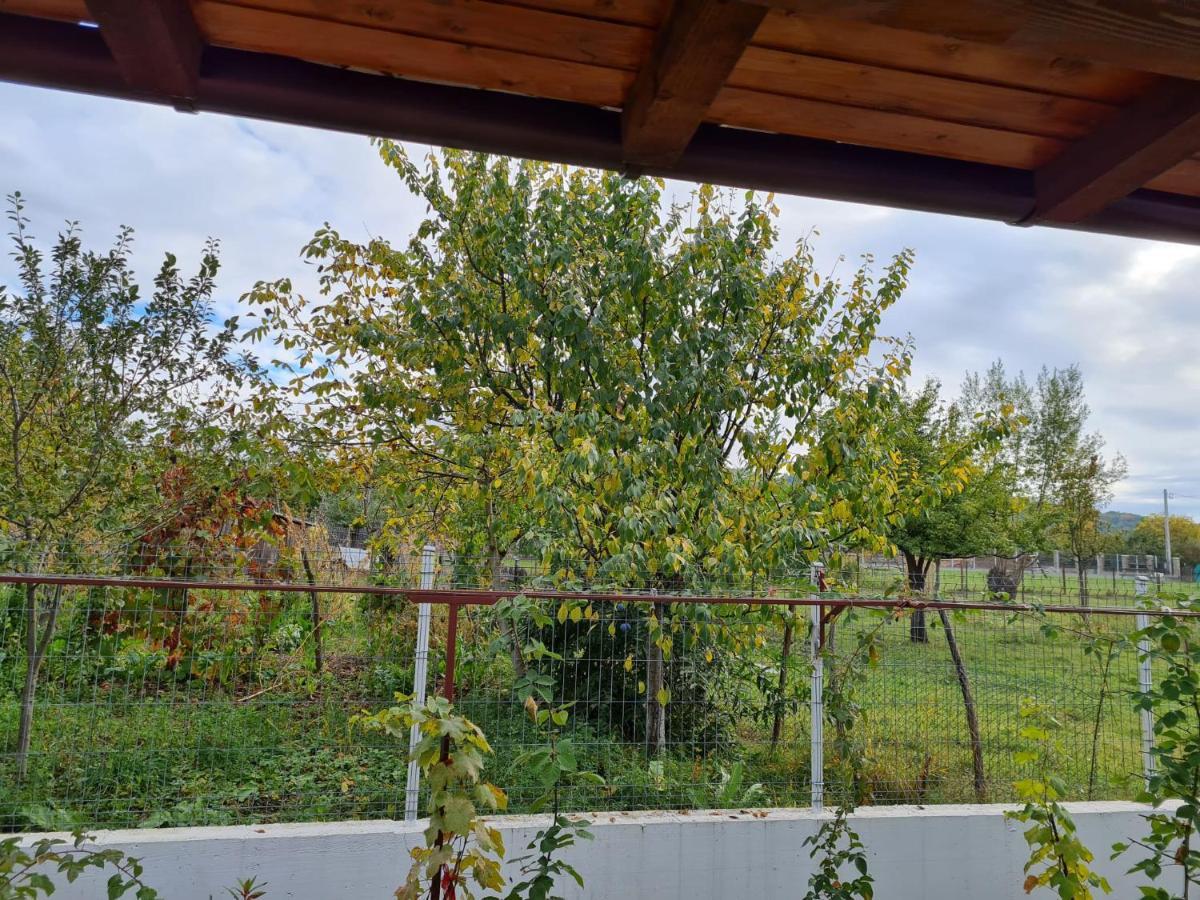 Autentic Adorabil Apartment Albestii Paminteni Екстериор снимка