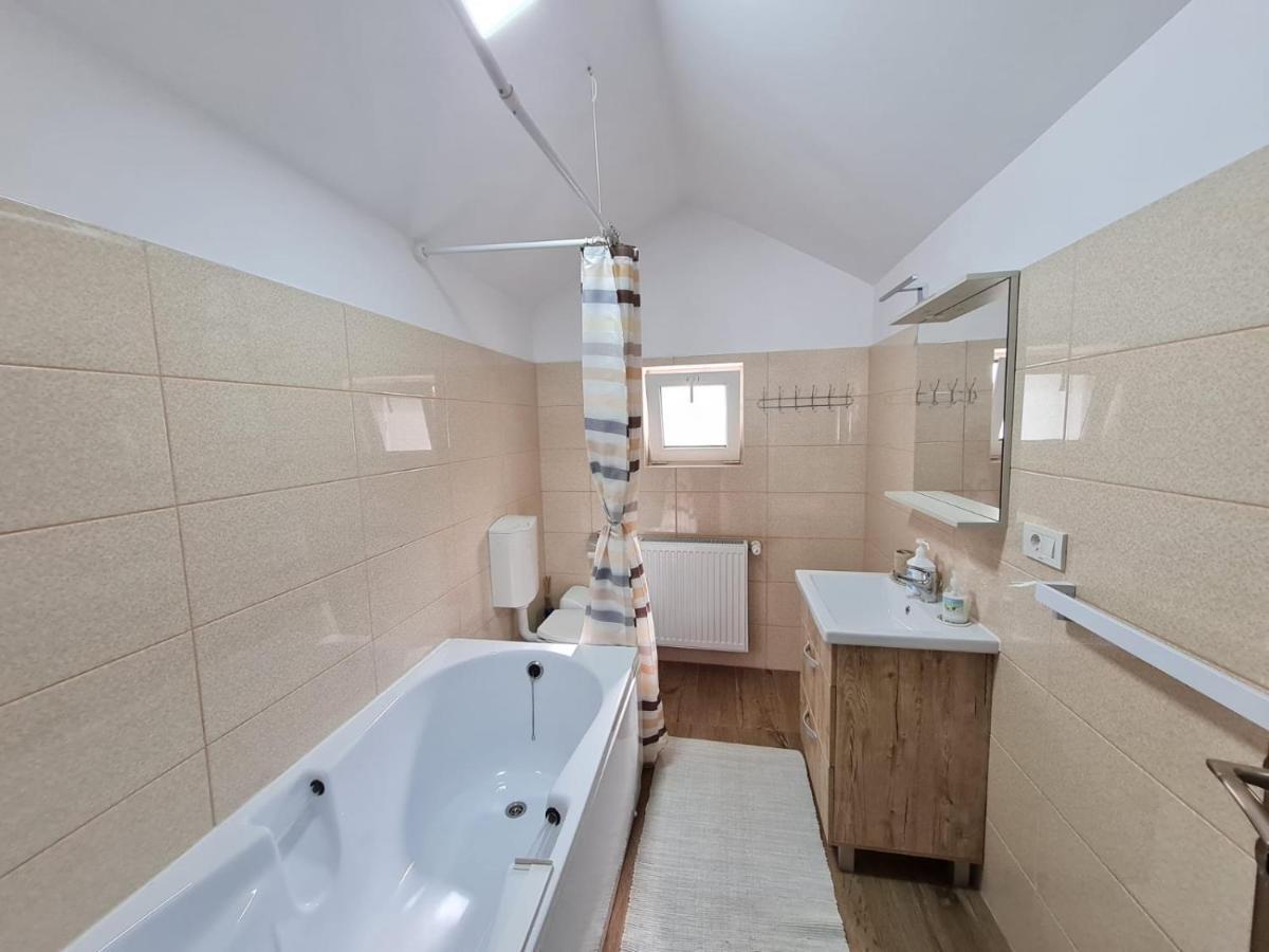 Autentic Adorabil Apartment Albestii Paminteni Екстериор снимка